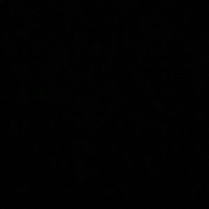 Meet your Posher, Jayda